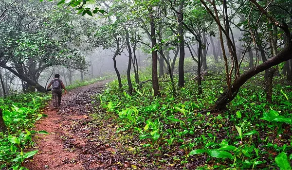 Thurahalli Forest